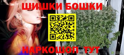 молекула духа Будённовск