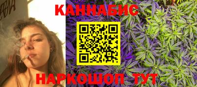 молекула духа Будённовск