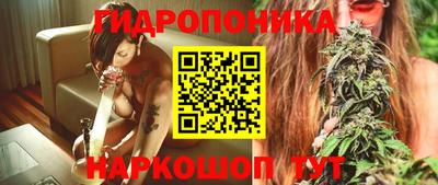 молекула духа Будённовск