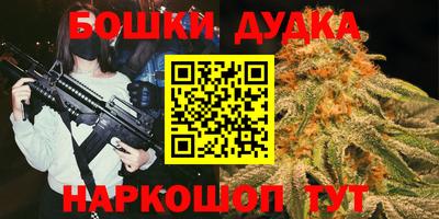 молекула духа Будённовск