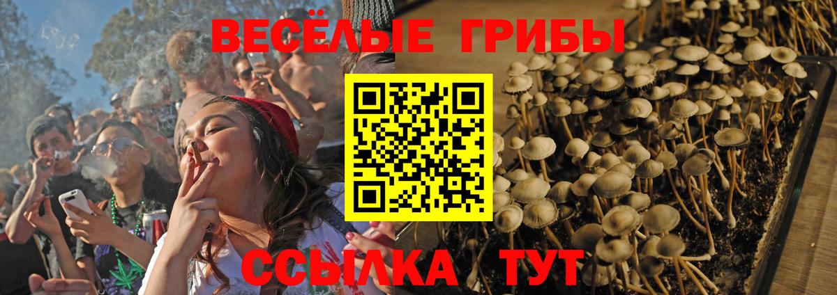 Псилоцибиновые грибы прущие грибы  Псилоцибиновые грибы Psilocybe  Вход с VPN  Белореченск 
